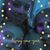 Shelly Elisha Anderson's profile image