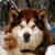 Vicky Deming's profile image