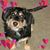Ann Badger Quinn's profile image