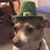 Karen Hooyman's profile image