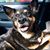Holly Holbert's profile image