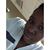 Kandice Hurt's profile image