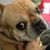 Kathy Mugica Shiffer's profile image