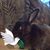 Deborah Lalla Beal's profile image