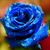 Maria Mendez's profile image