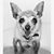 Ryan Dickie's profile image