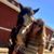 Richelle McKinney Turner's profile image