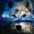 Jan Heykoop Selnes's profile image