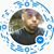 Herrera Jr Junior's profile image