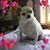 Sandra Scull Dunlap's profile image