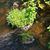 Kimberly Heider's profile image