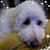 Lacy Stauffacher's profile image