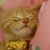 Ellen Lim's profile image