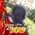 Faton Lulije Kadriu's profile image