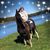 Dana Huth's profile image
