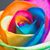Cynthia DeMattia's profile image
