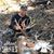 Travis Ocker's profile image