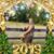 Tammy Illing's profile image