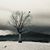 Susan Romley Moranz's profile image