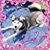 Tara Litchford's profile image