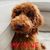 Asli Roberson's profile image