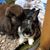 Christine Gunn Edwards's profile image