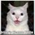 Yvonne Graf's profile image