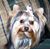Grace Precise's profile image