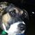 Sally Rath-Bellon's profile image