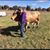 Erin Lanier's profile image