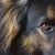 Dave Lessard's profile image