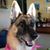 Terri Deming's profile image