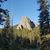Deb Hart's profile image