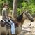 Cathy Cason's profile image