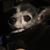 Tom Savior's profile image