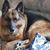 Bernadette Ostrowski's profile image