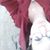 Abigail Caffro's profile image