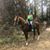 Judit Renee Dabis's profile image