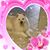 Janet Long Gasque's profile image