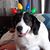 Tammy Bethke's profile image
