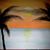 Armyn's Palette's profile image