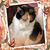 DeDe Roberts's profile image