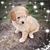 Jill Cargen Horner's profile image