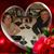 Robin Riley Mansfield's profile image