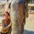 Amy Bennetts's profile image