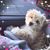 Maryann Williams Goulden's profile image