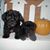 Linda Ransom's profile image