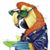 John Allen's profile image